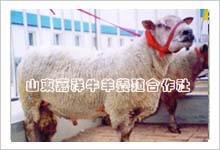 供应发家致富的好时机 抓住就能致富